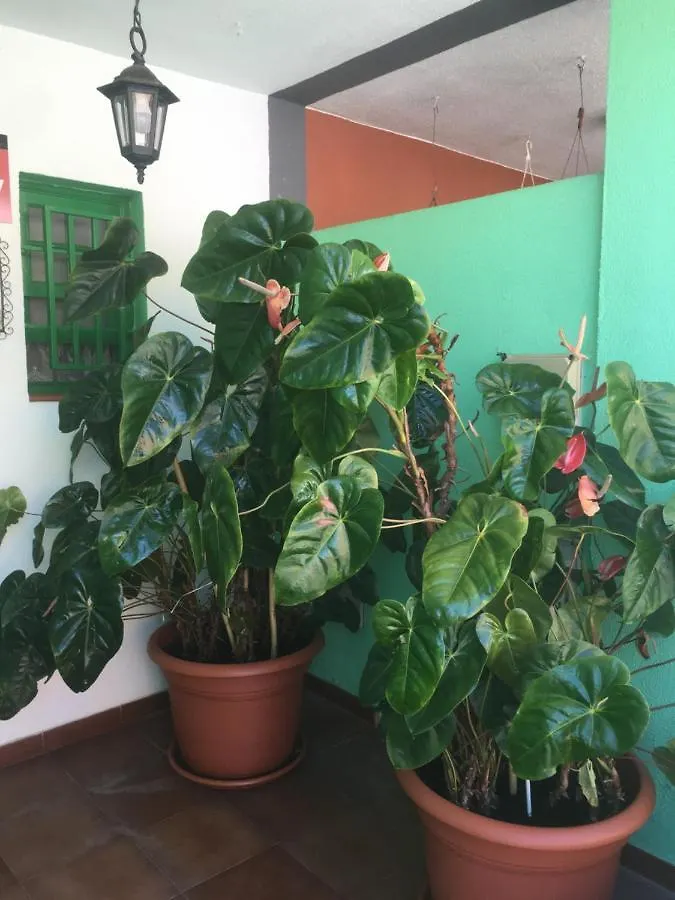 Villa Casa Angeles Santa Cruz de la Palma  Сasa de vacaciones Santa Cruz de la Palma (Isla de la Palma)